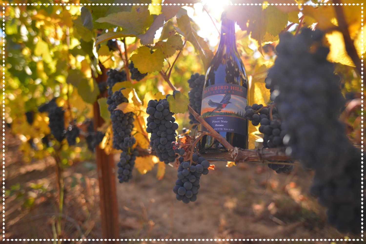 2018 Harvest Update!