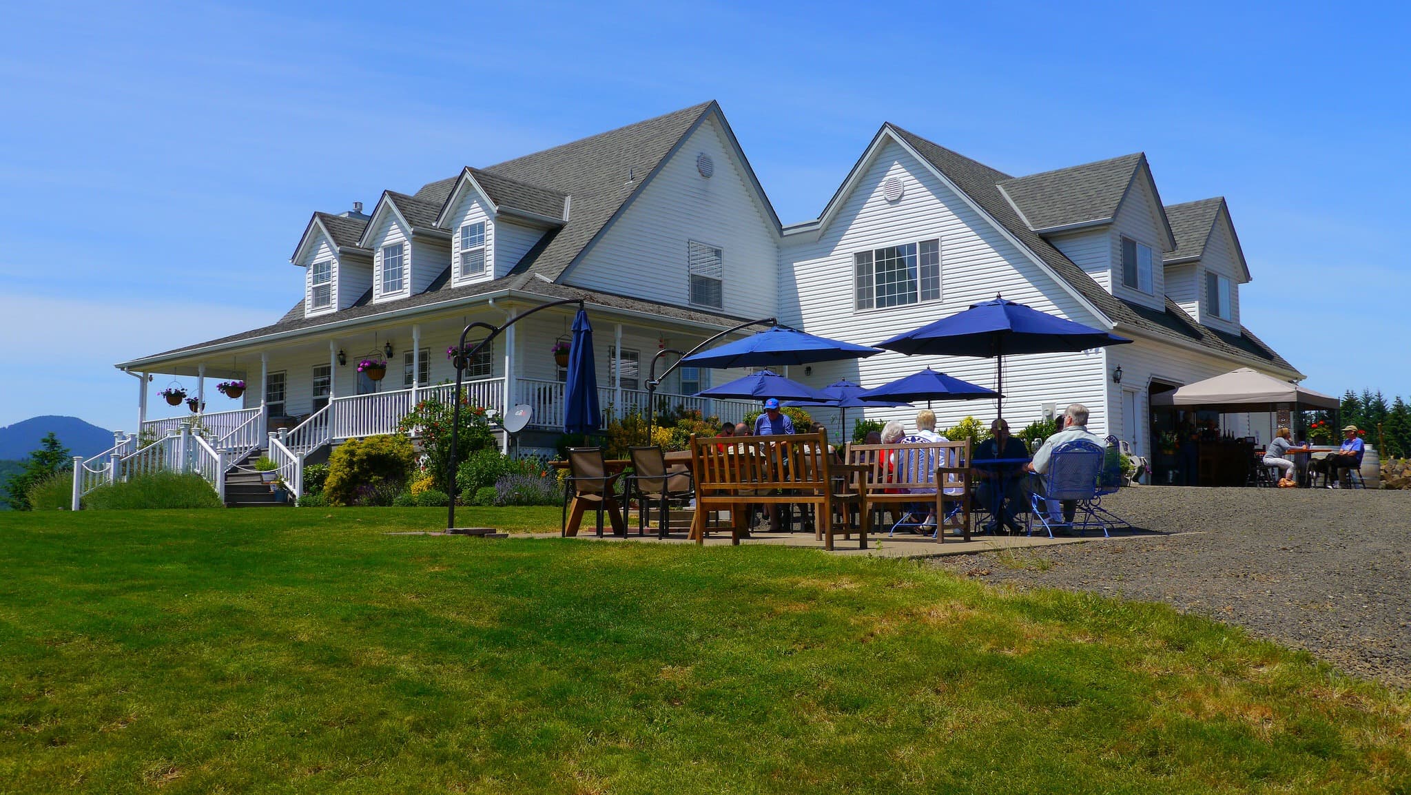 Bluebird Hill Grand Opening Recap