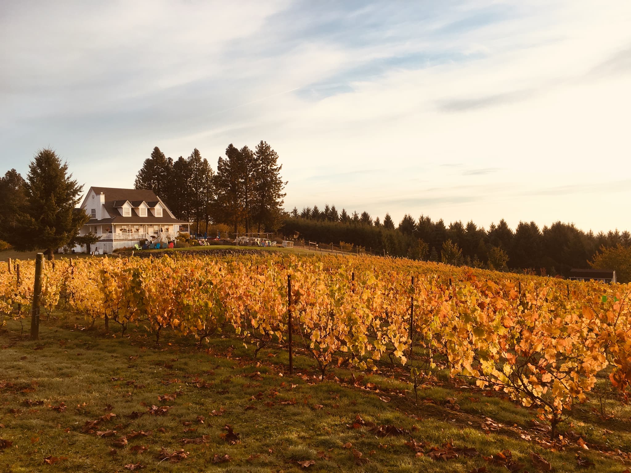 Don’t Mess With Mother Nature!