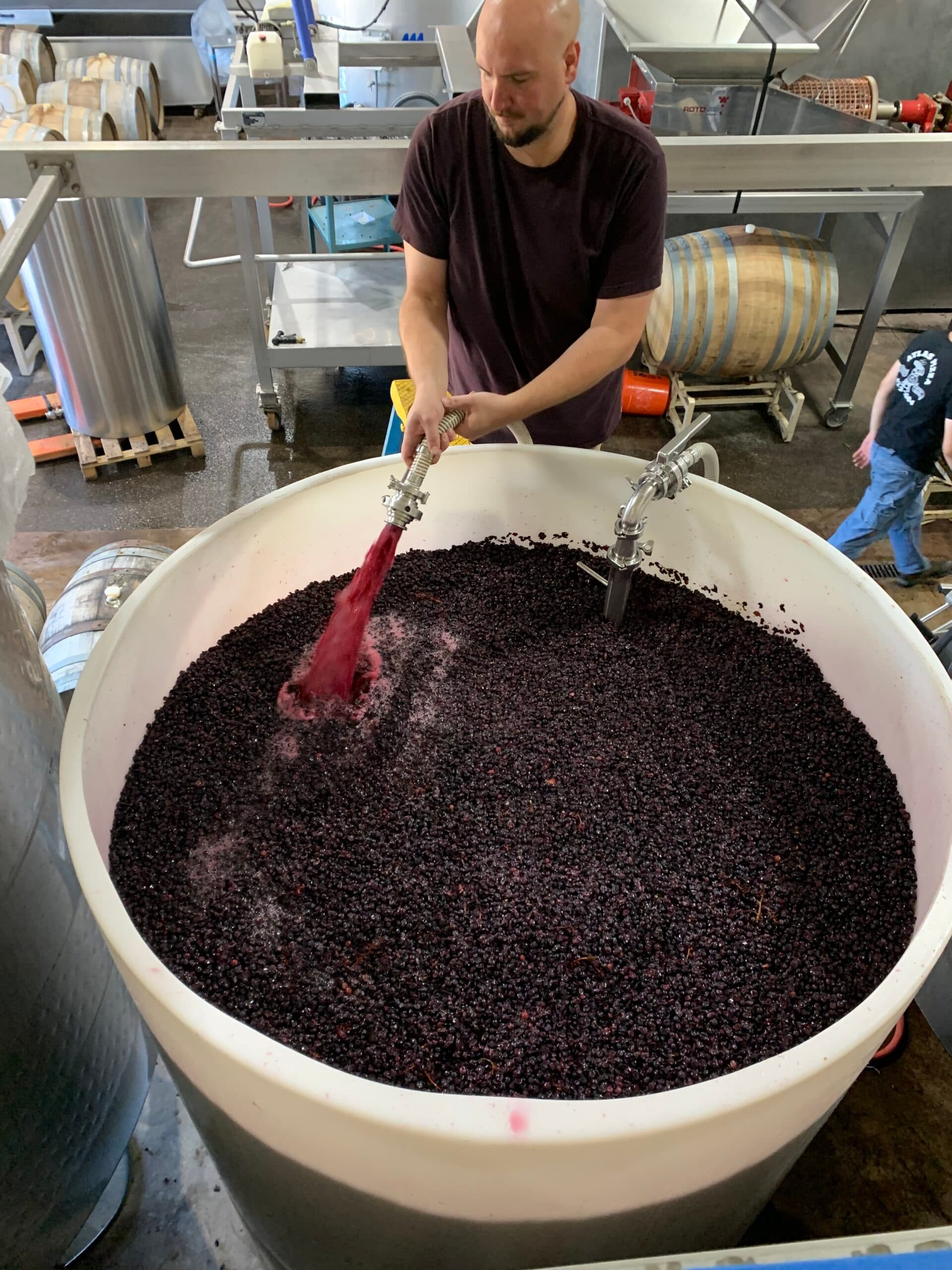 Update from Neil on the fall harvest and crush