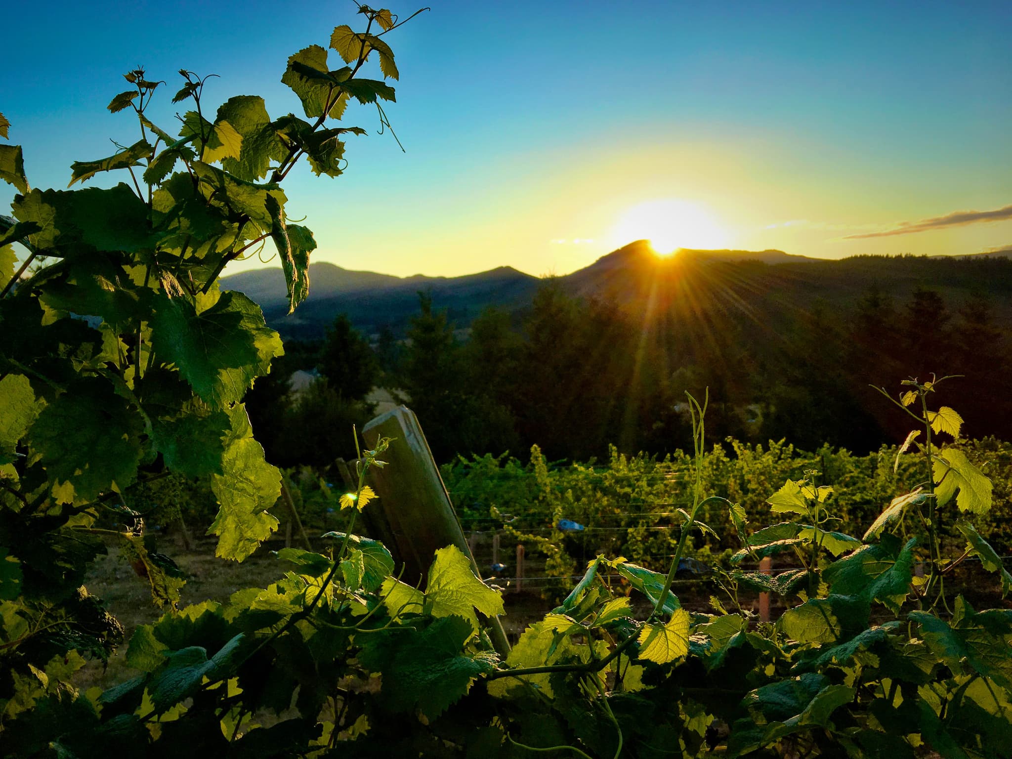 Happy Happy Harvest!