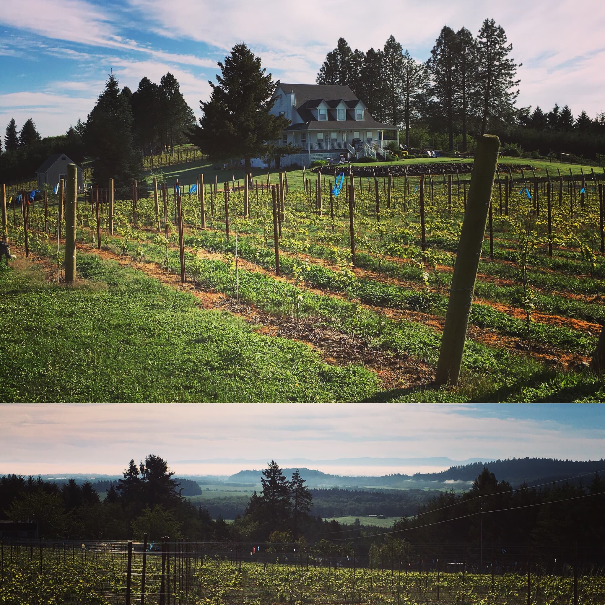 Happy Mom’s Block!