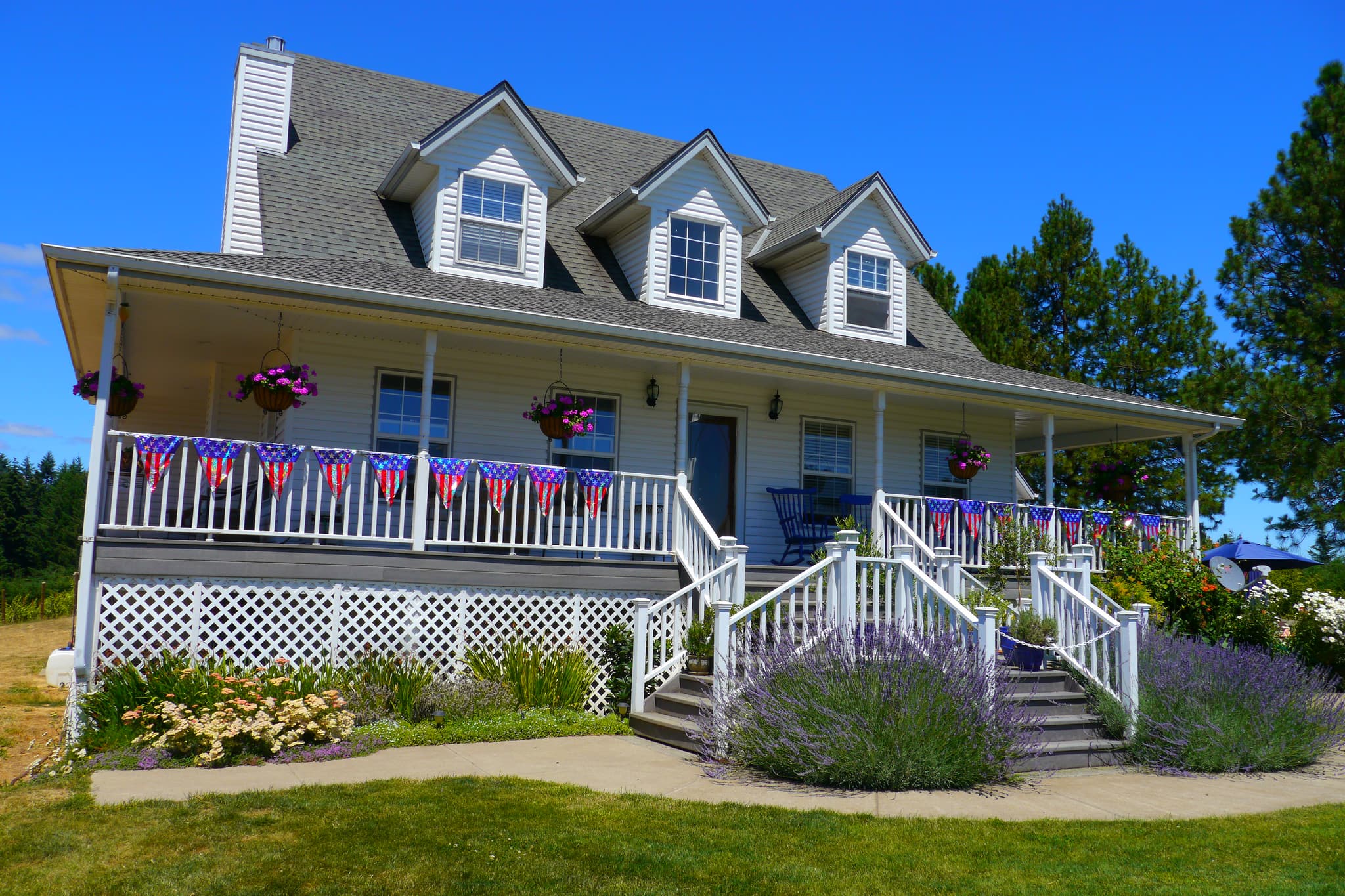 July Musings and Reflections