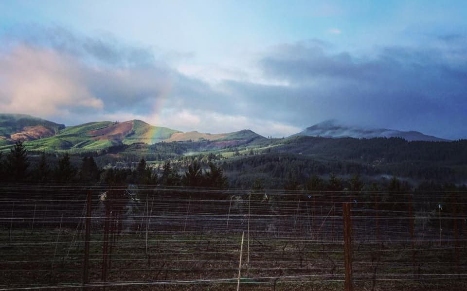 Mid-Winters Night Dreaming