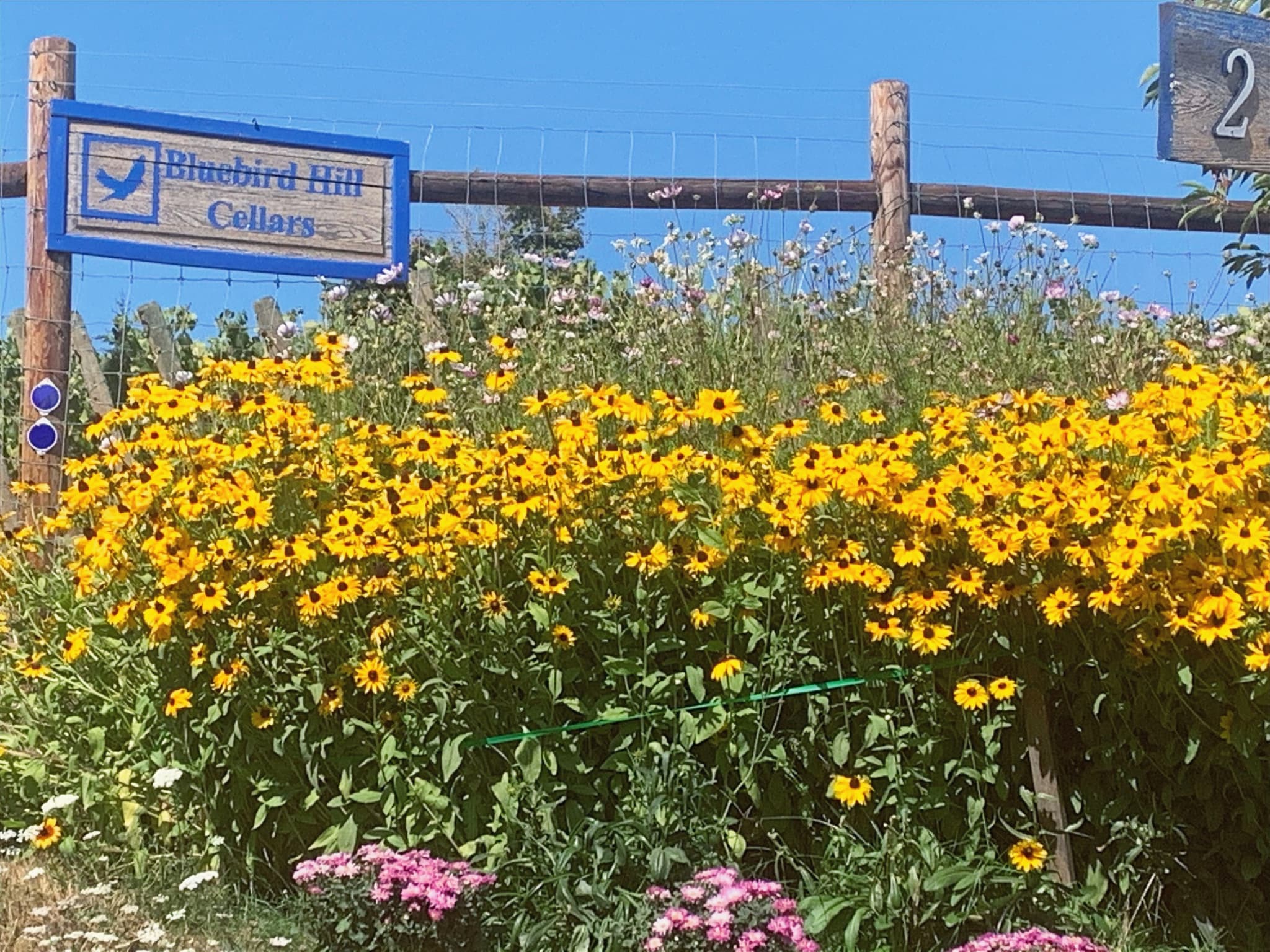 “MY UN-FAVORITE YEAR”