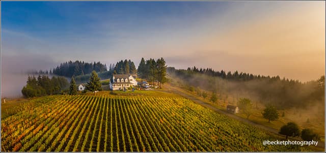 “MY UN-FAVORITE YEAR – PART 2”