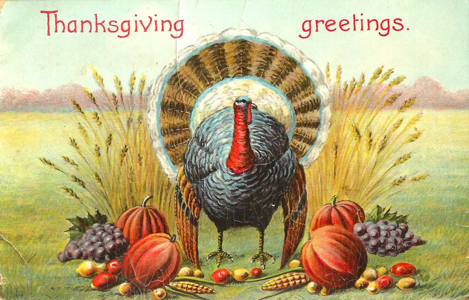 Thanksgiving Greetings