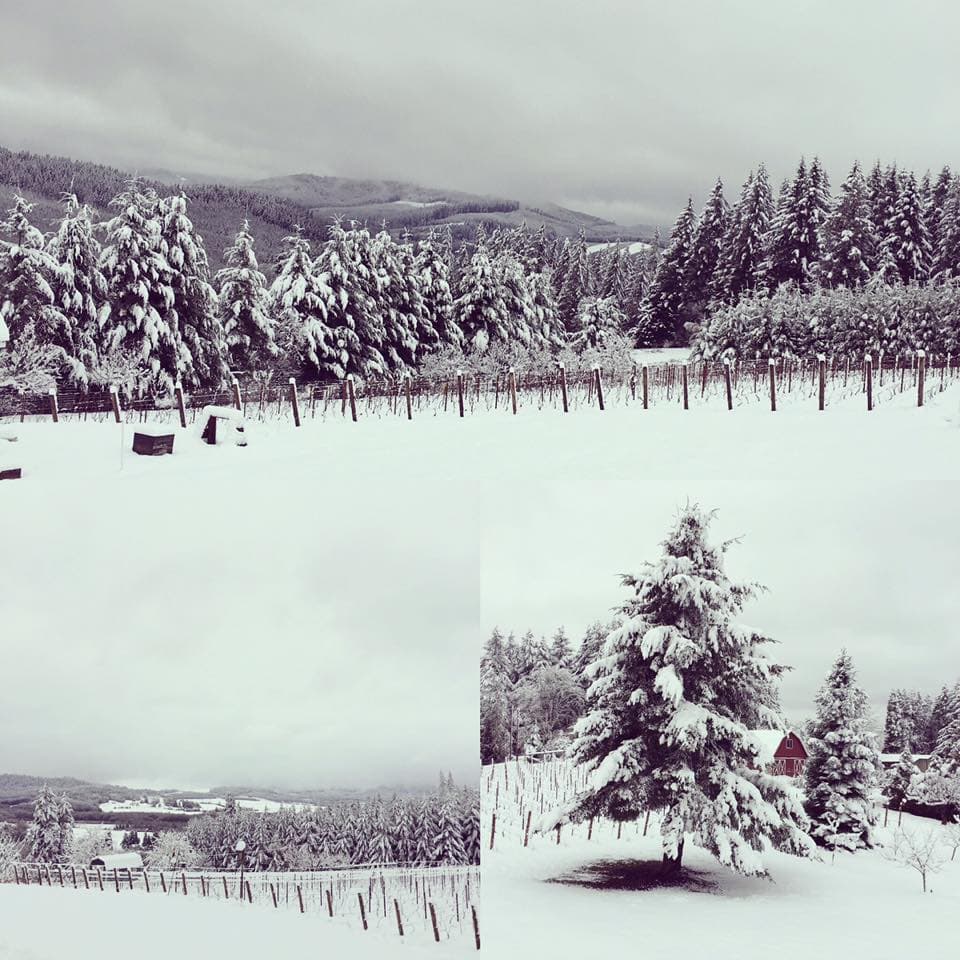 The Weather Outside....