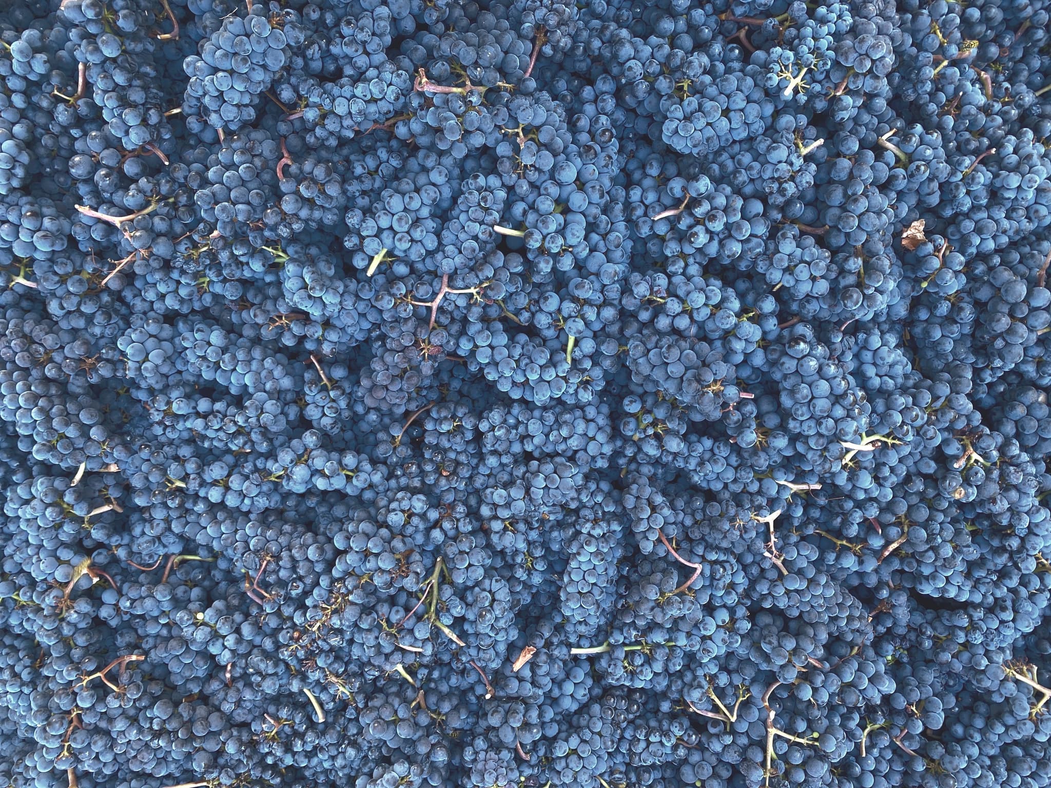 What a difference a year makes