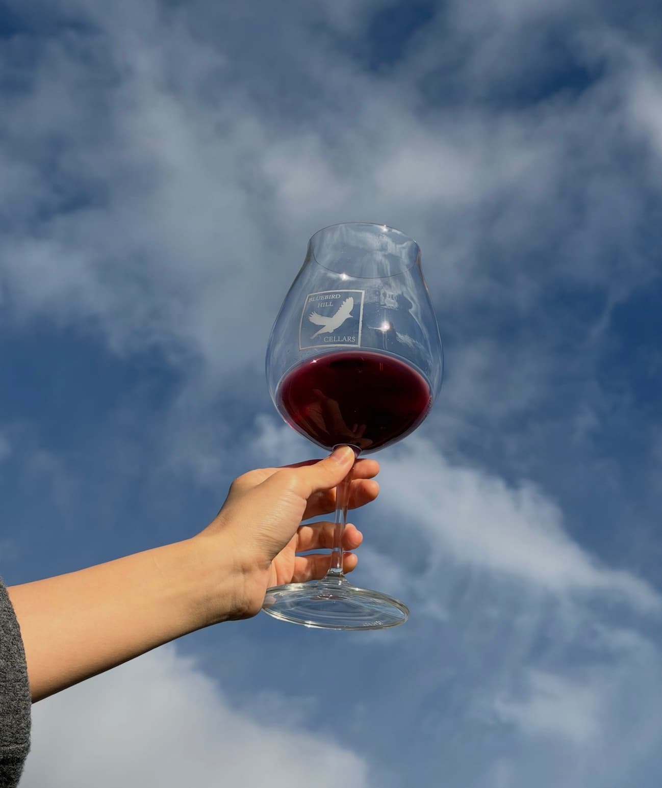 Pinot Library Tasting
