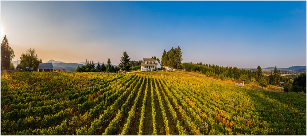 Aerial view over the Bluebird Hill Cellars vineyard