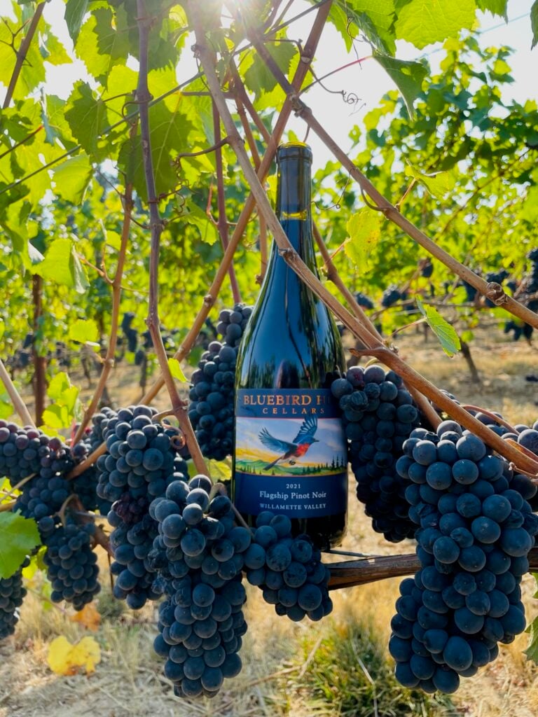 Bottles of Bluebird Hill Cellars wine