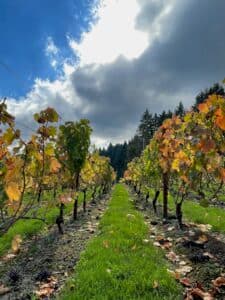 Thanksgiving Open House