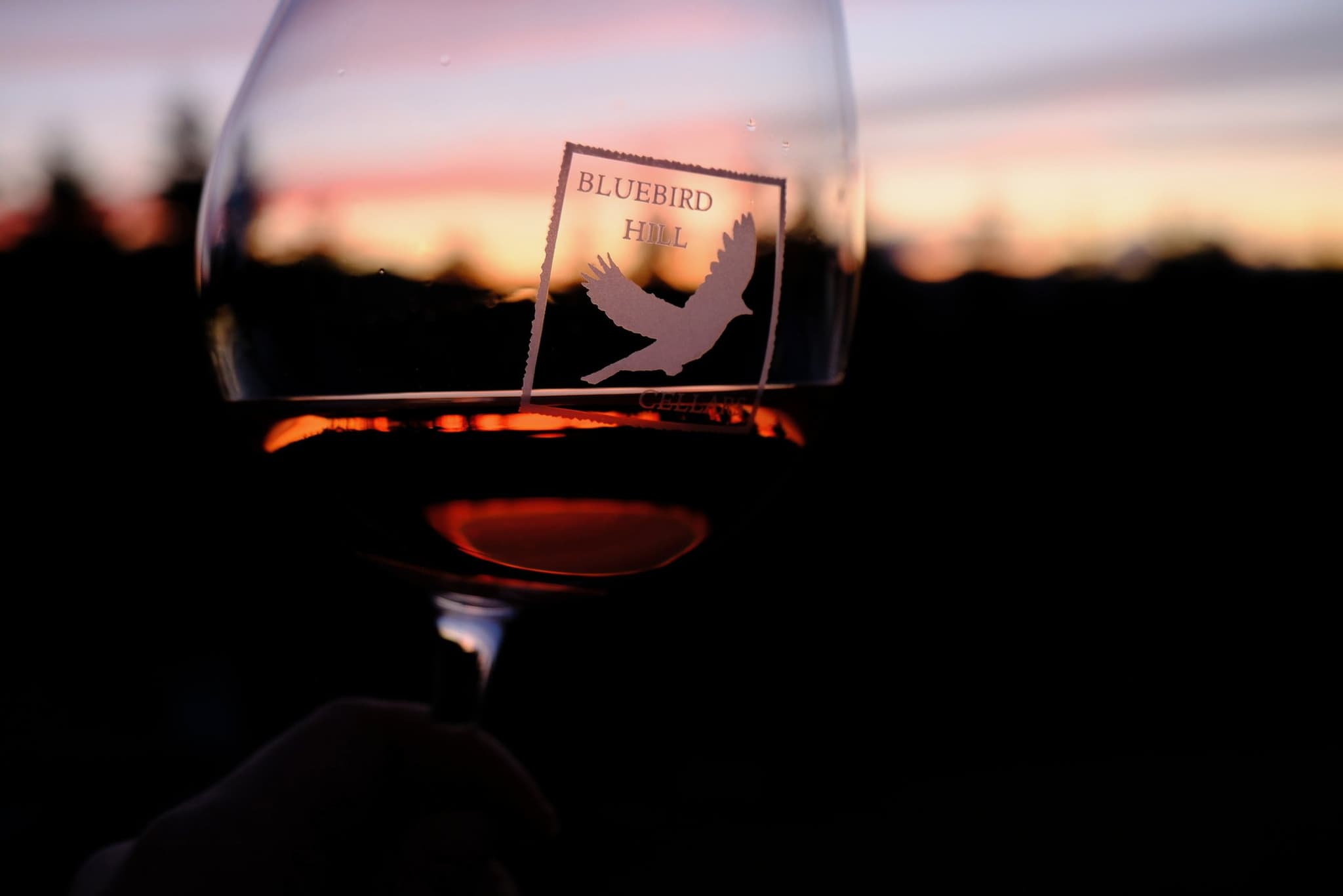 Sunset at Bluebird Hill Cellars